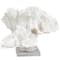 12" White Polystone Textured Coral Sculpture with Clear Acrylic Base